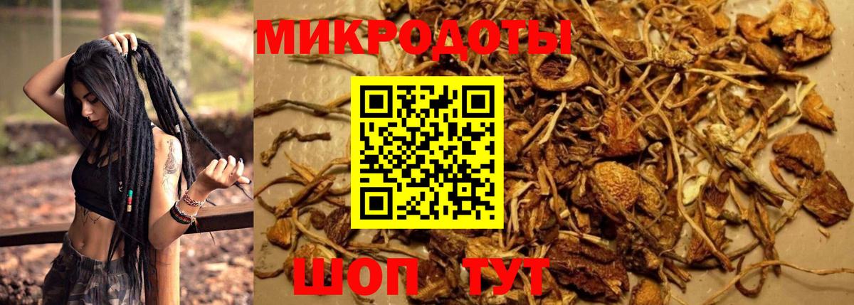 Псилоцибиновые грибы ЛСД Трёхгорный